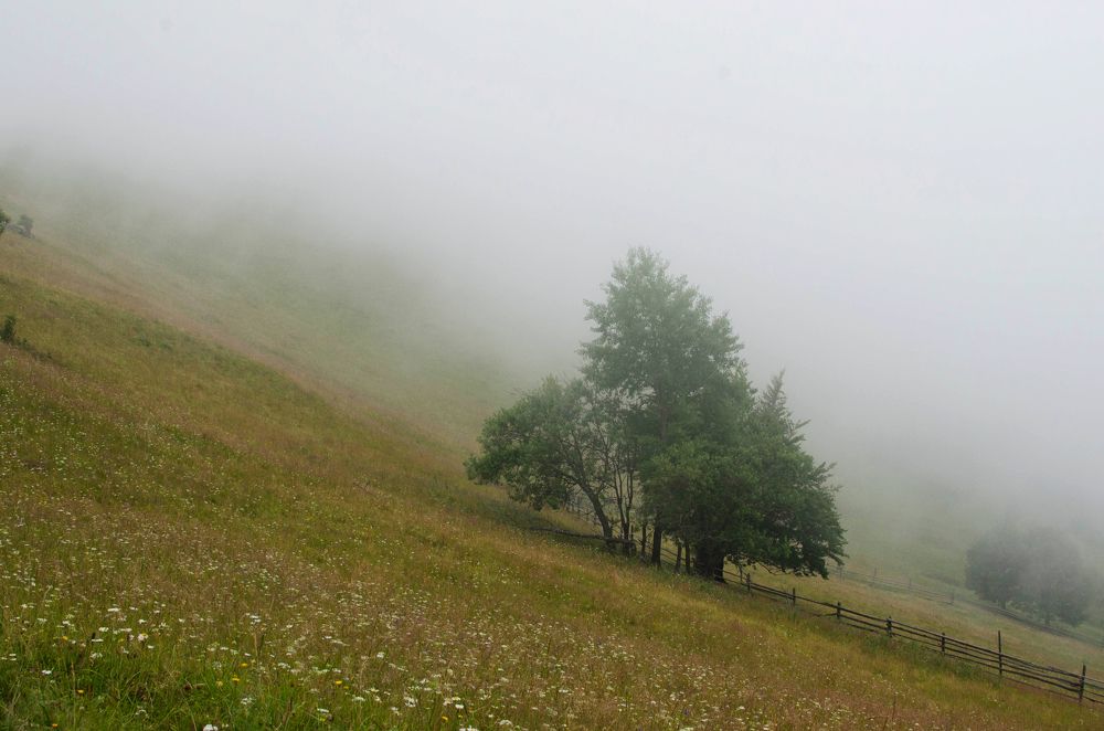 Тихо стелится туман