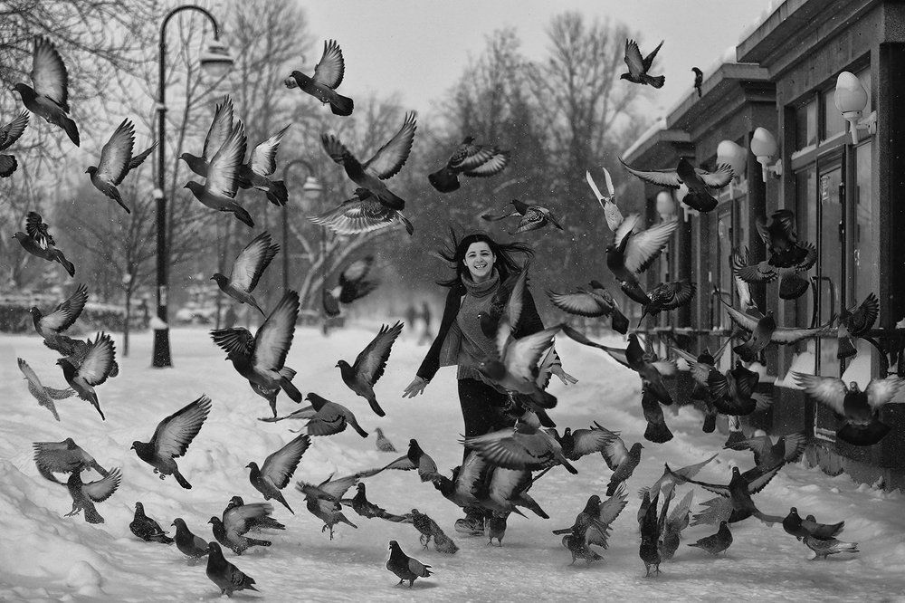 Летите голуби, летите...