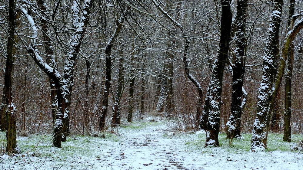 Предзимье,,,