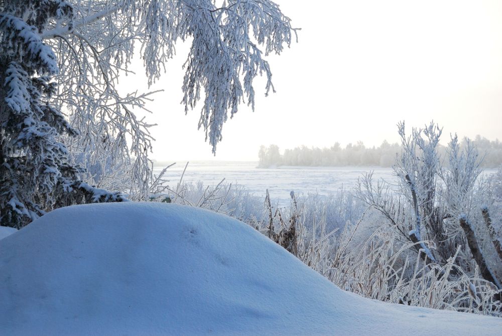 Утро зимнего дня