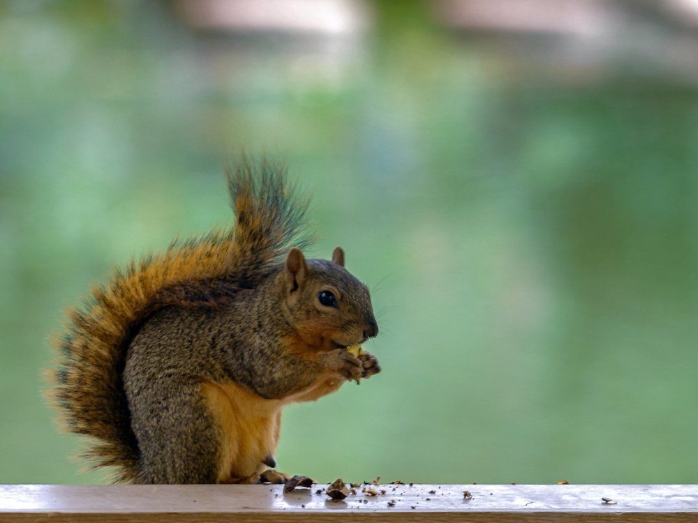 Photograph by Владислав Айзенберг