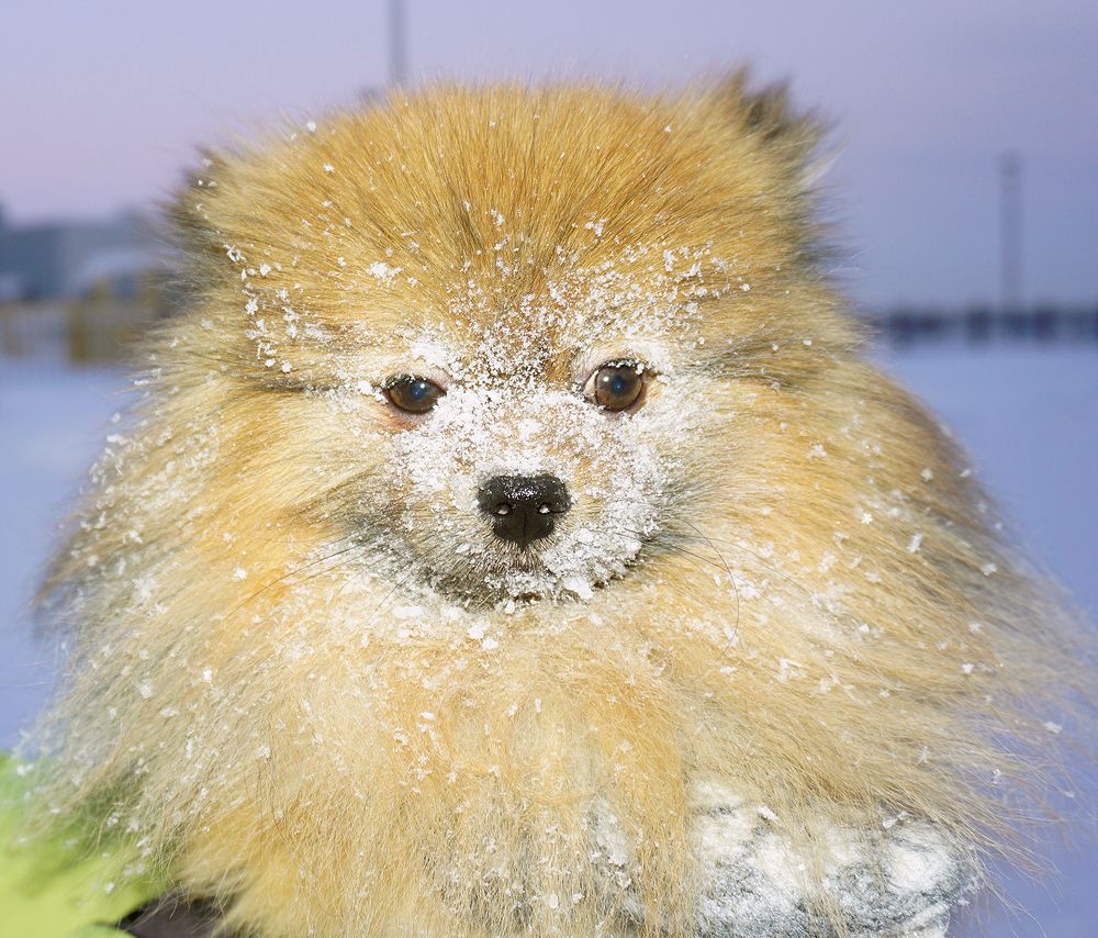 Шедевры природы