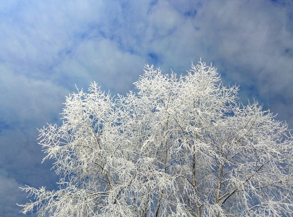 Зимний солнечный день...