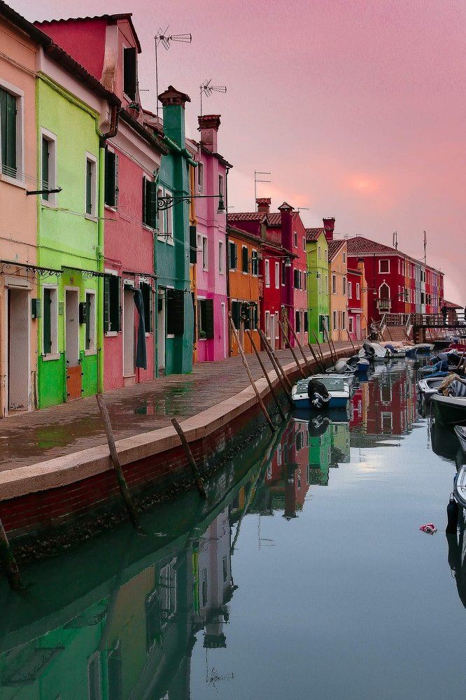 Красочная жизнь