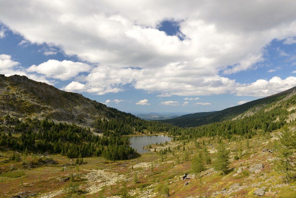 Фотография автора Степин Геннадий
