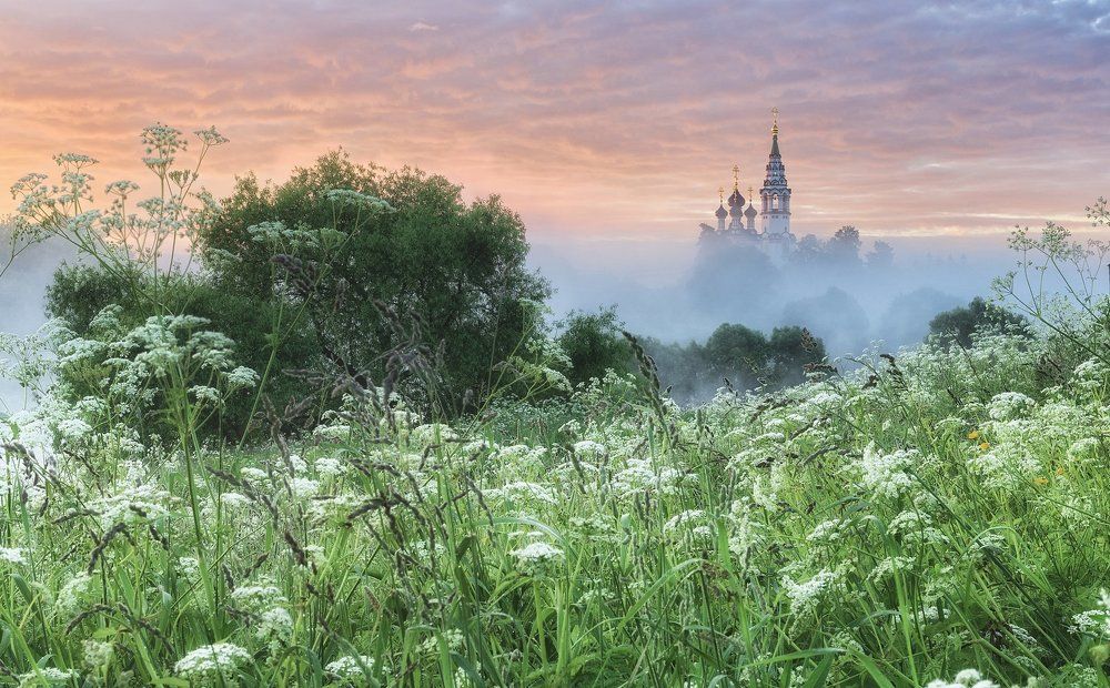 Фотография автора Сергей Давыдов