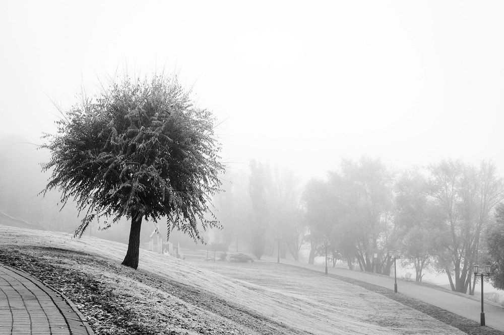 Утро туманное черно-белое
