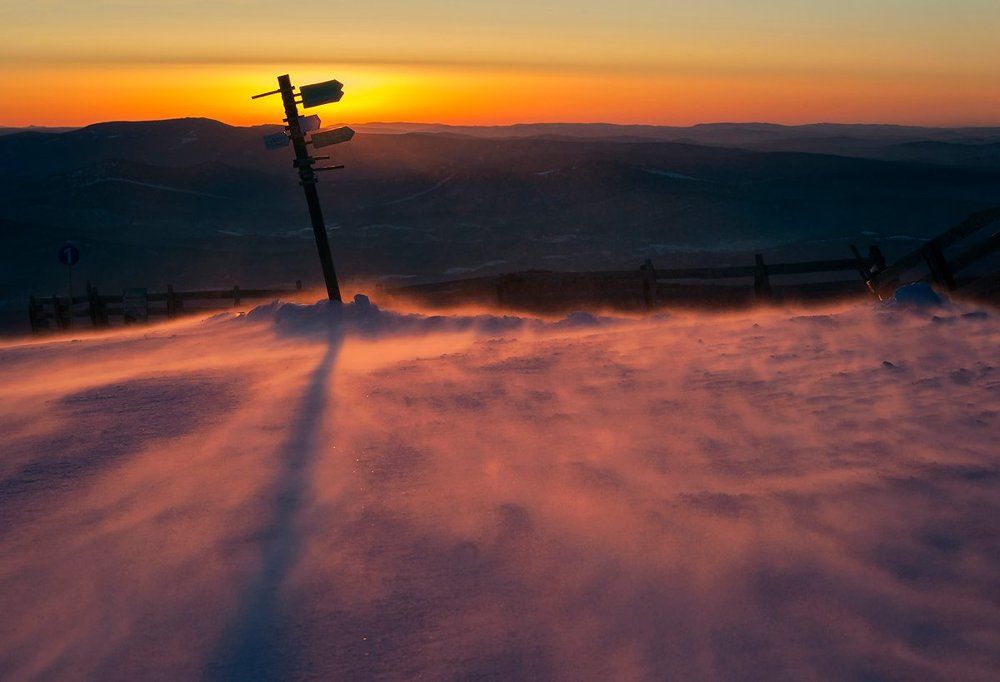 Про  розовую позёмку