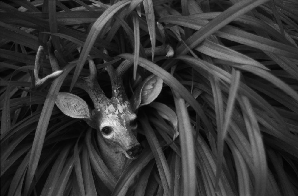 Без названия