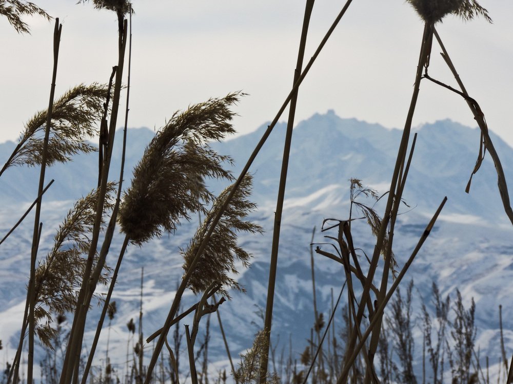 Photograph by Елизавета Шалемова