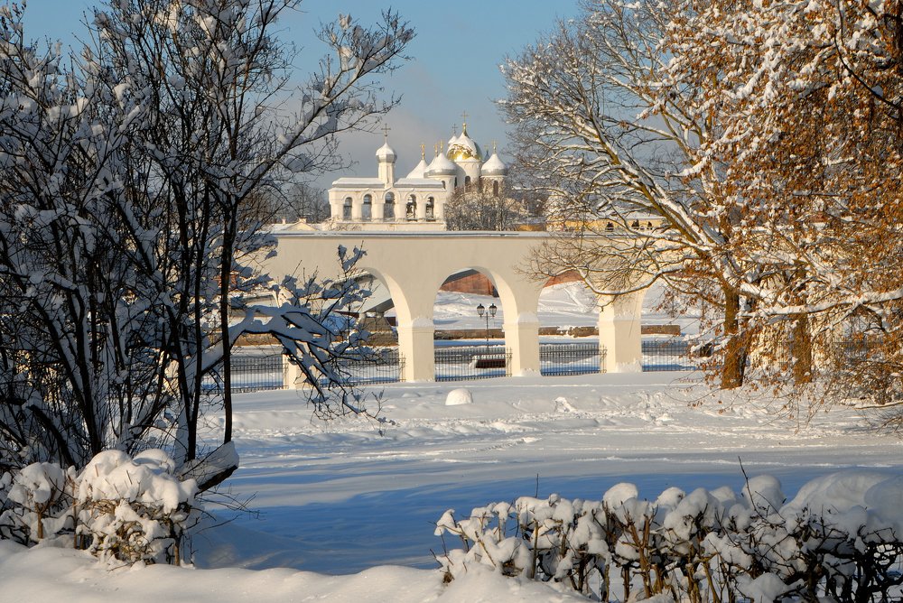 Ярославово дворище