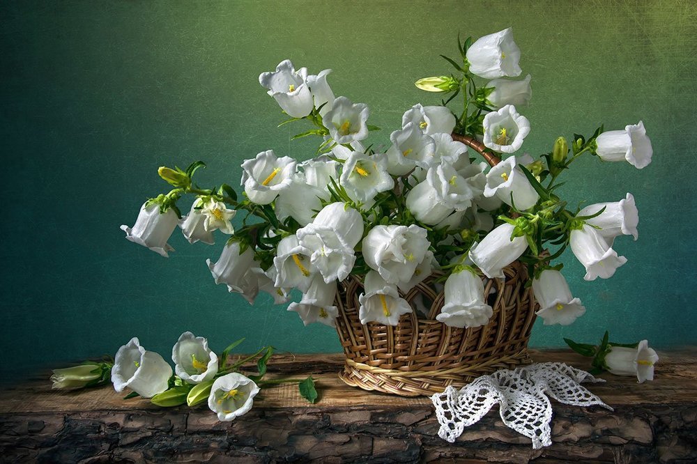 Белые колокольчика в корзине.