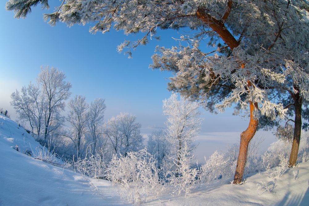 Морозный день на Волге