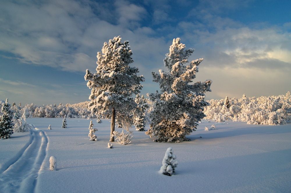 Крайний север.