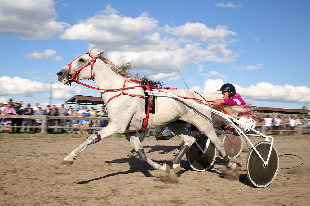 Вперёд, к победе!