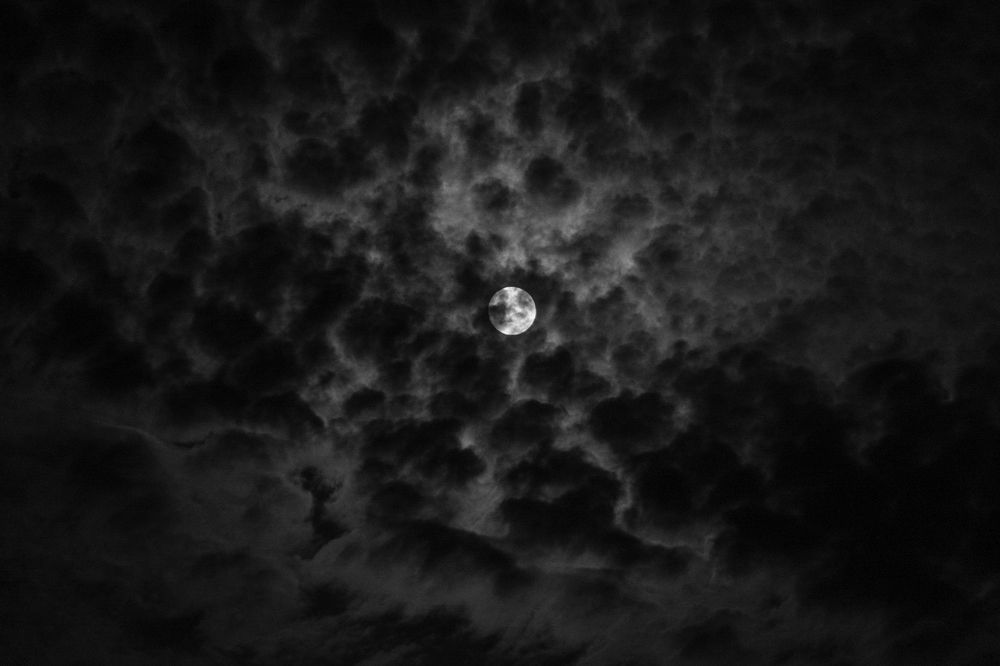 Photograph by Andreea Neamțu