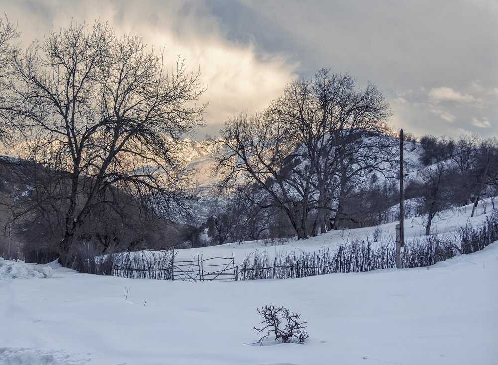 Photograph by Чунина Наталья