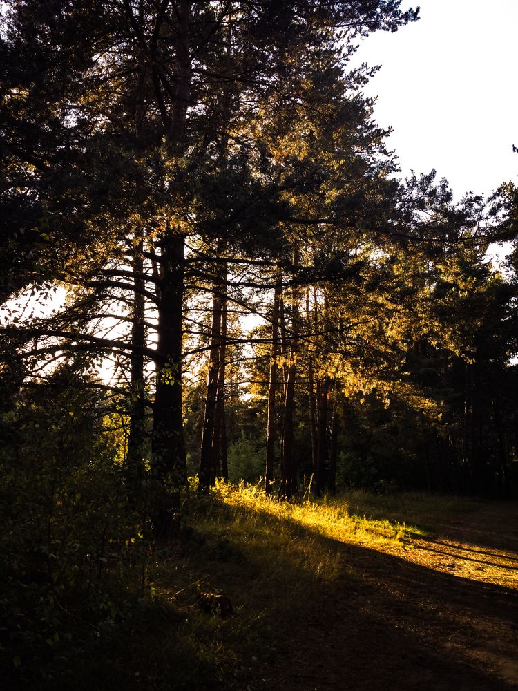 Осенний вечер