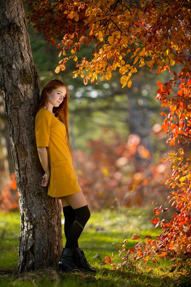 Золотая осень