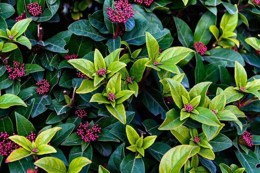 Photograph by Дзись Оксана