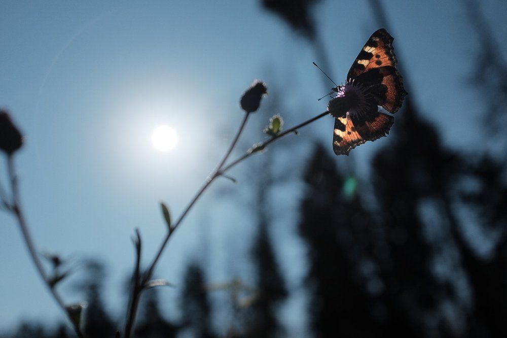 На подзарядке.