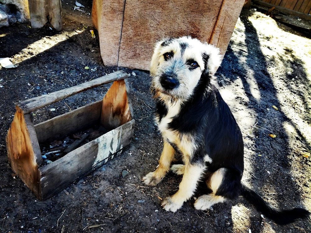 Помощь по хозяйству нужна?