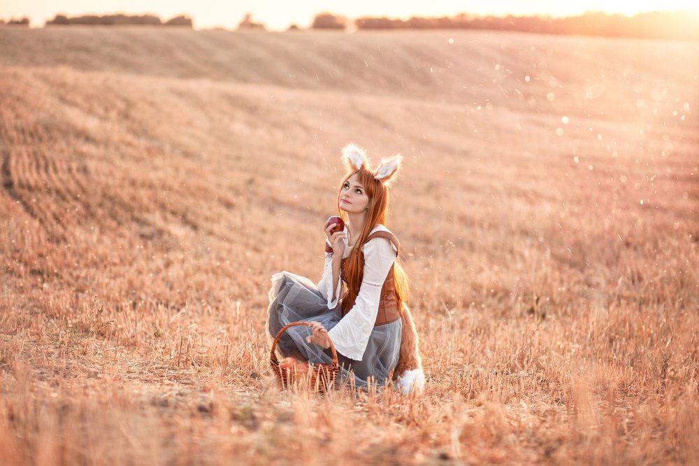 Волчица и пряности (аниме)