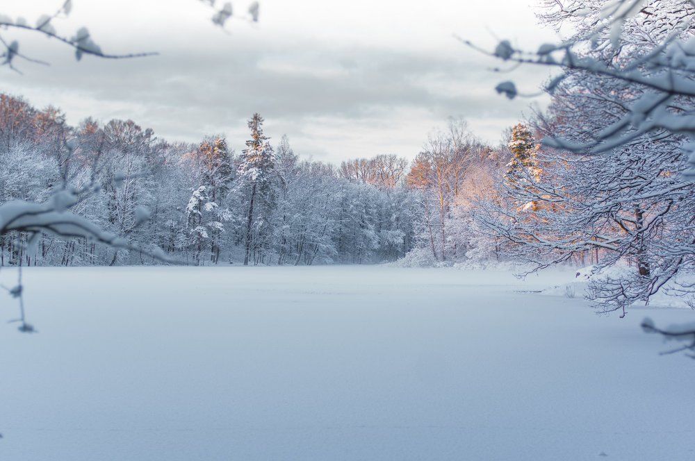 Рассвет. Зима.