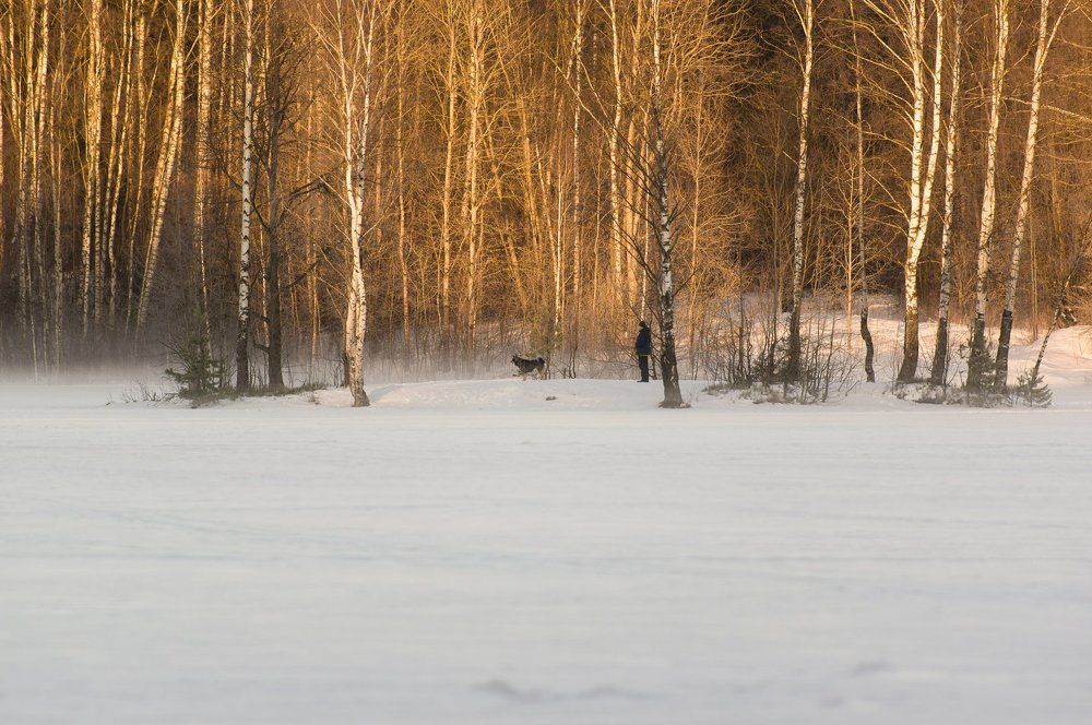 Кто-то на острове.