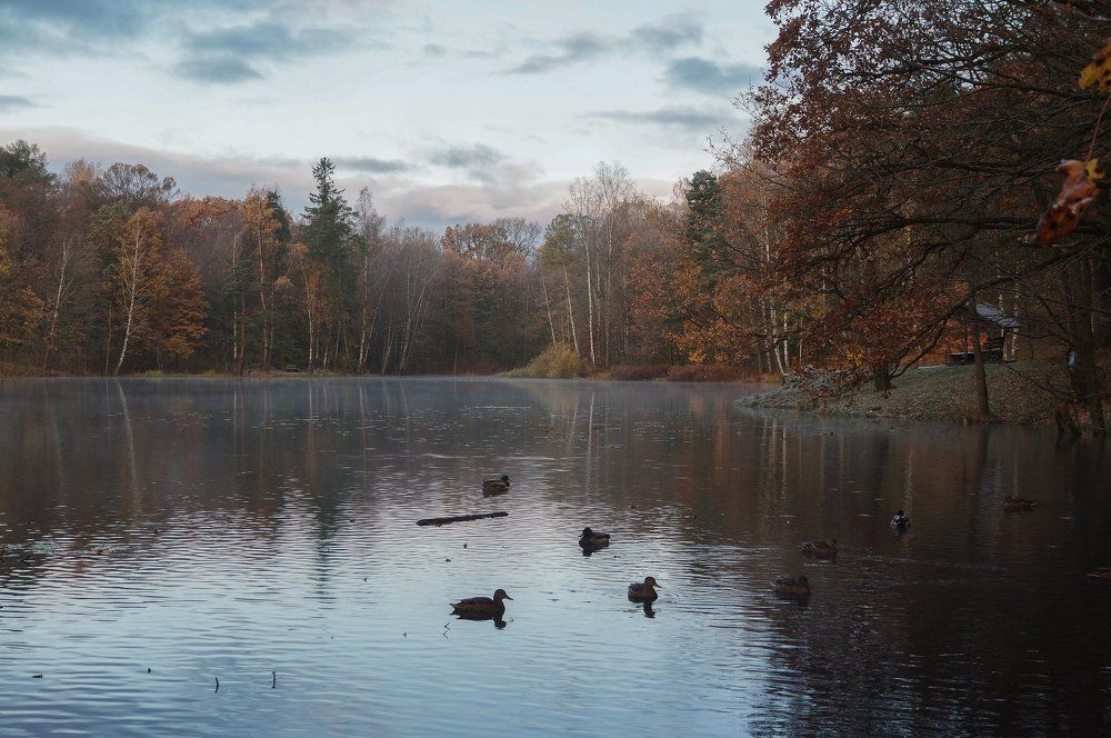 Вот и осень.