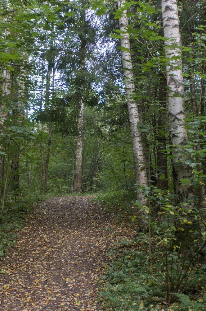 На неведомых дорожках.