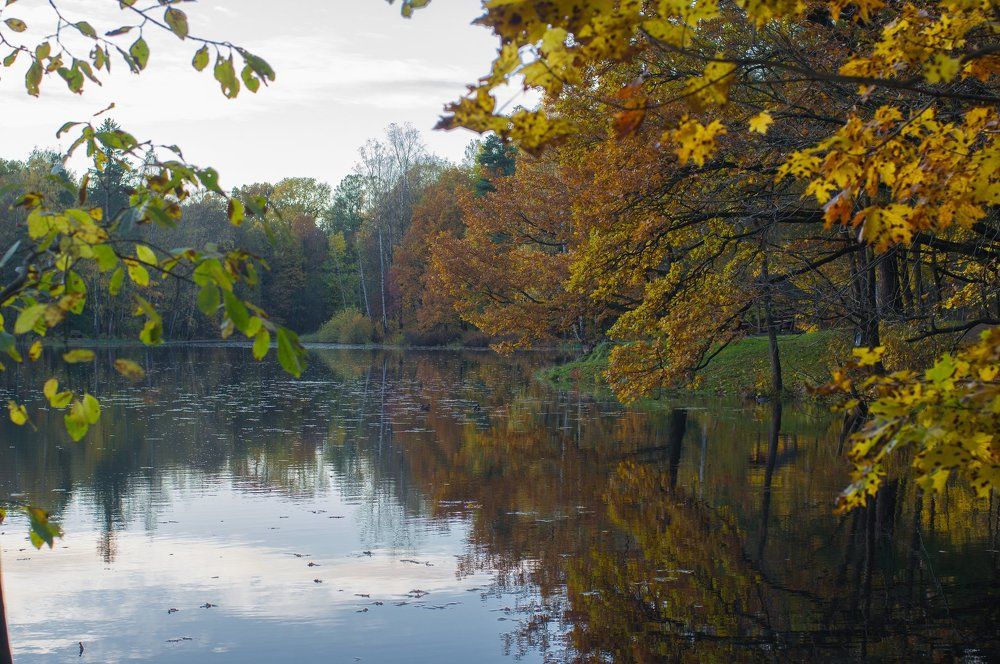 От красок голову снесло!