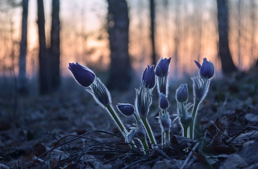 В холодной тишине