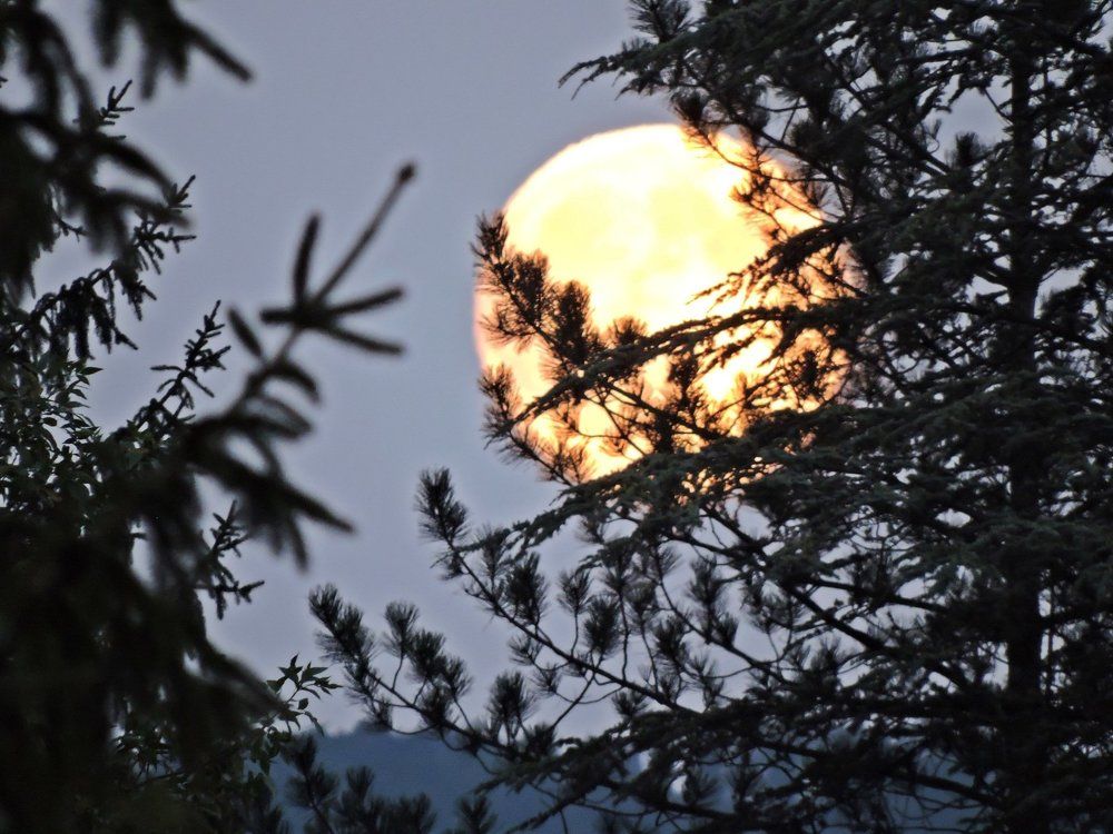 Photograph by Dragutin Jovanovic