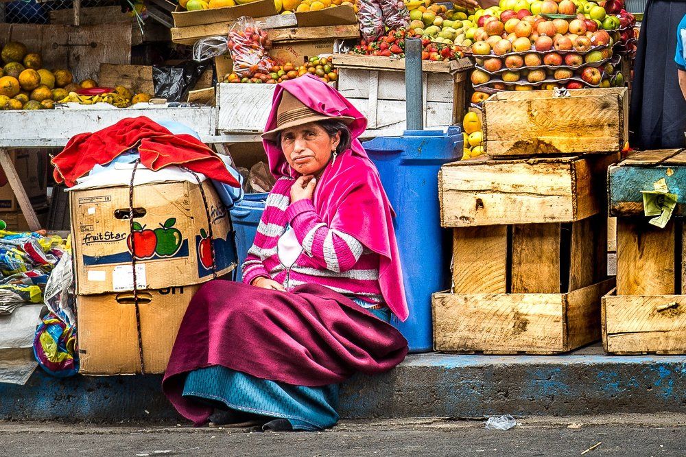 Эквадорская птичка-колибри