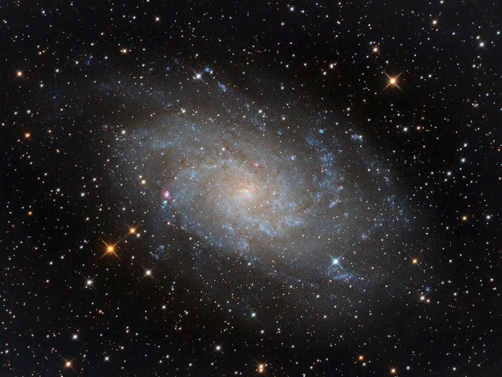 The Triangulum Galaxy (Messier 33)