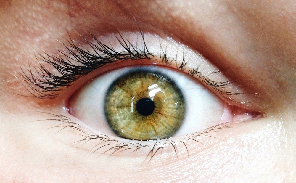 Photograph by Анастасия Тирская