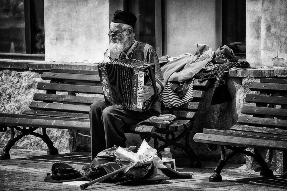 Играй гармонь