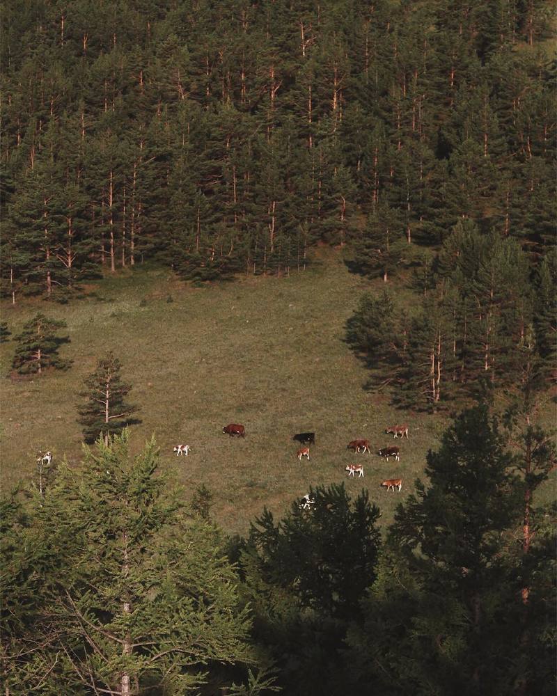 Photograph by Анна Пряхина