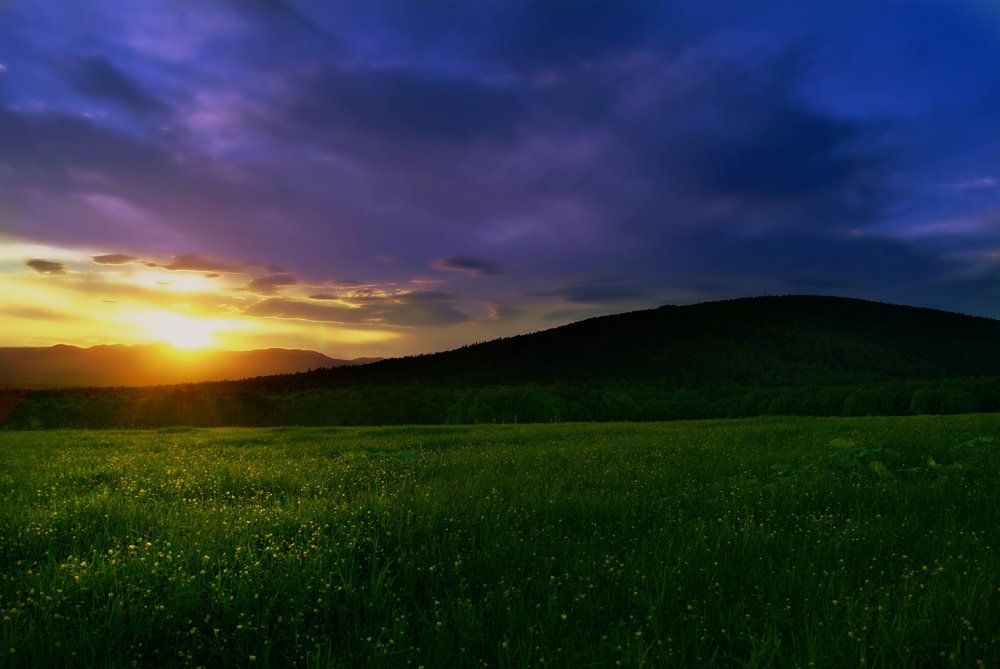 Поле о. Сахалин