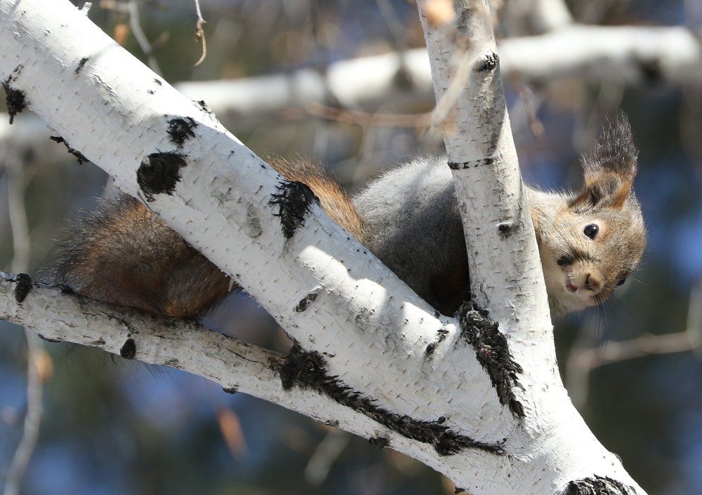 Любопытсво важней всего