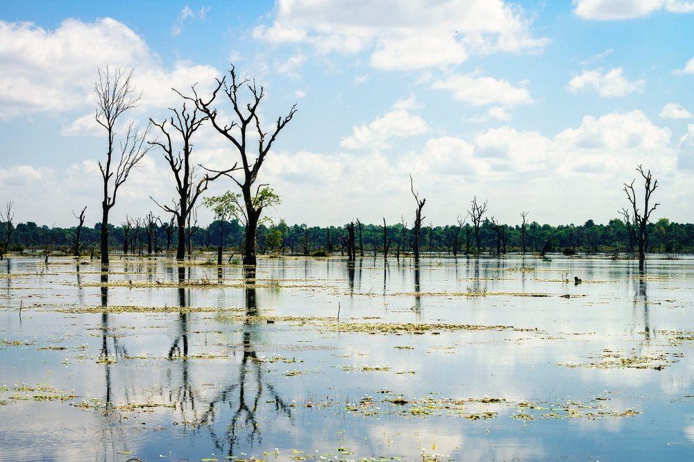 Beauty of floating lake