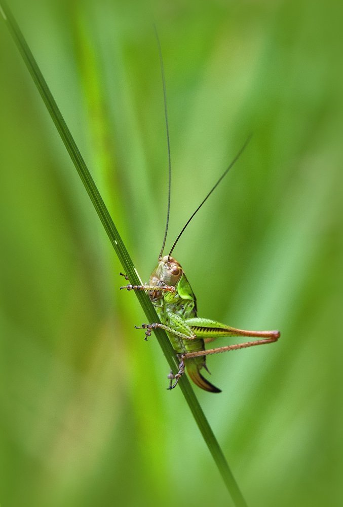 Photograph by Алексей Ладей