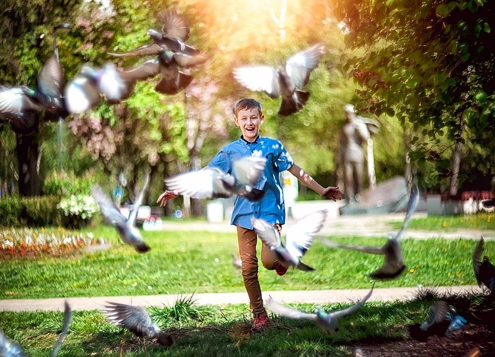 Любовь и голуби