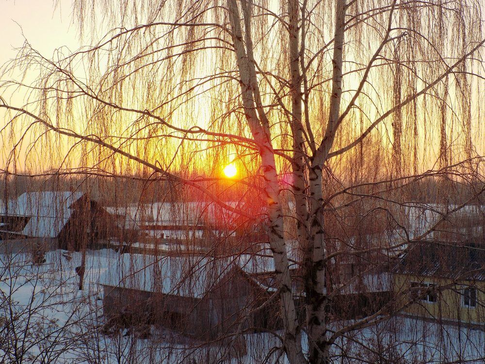 Холодное утро