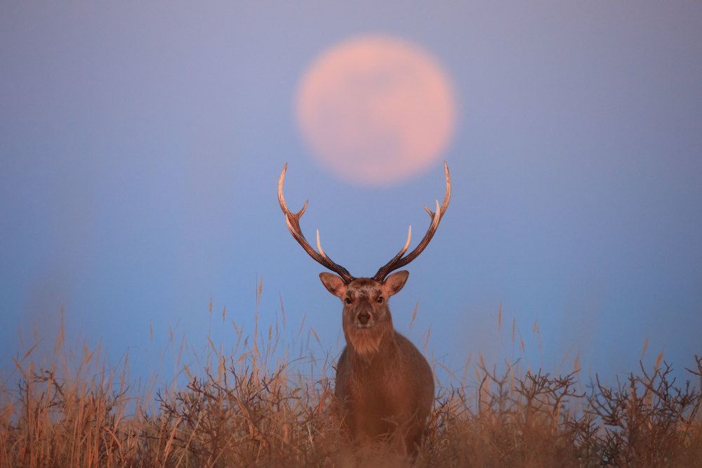 Восхождение супер Луны