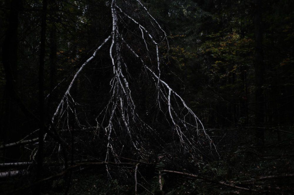 Осенняя гроза.