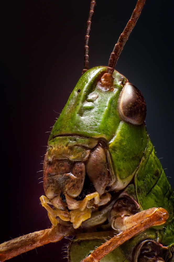 Photograph by Владимир Налбандян