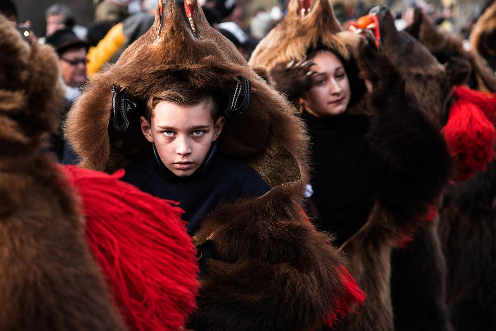 cold gaze of the bear