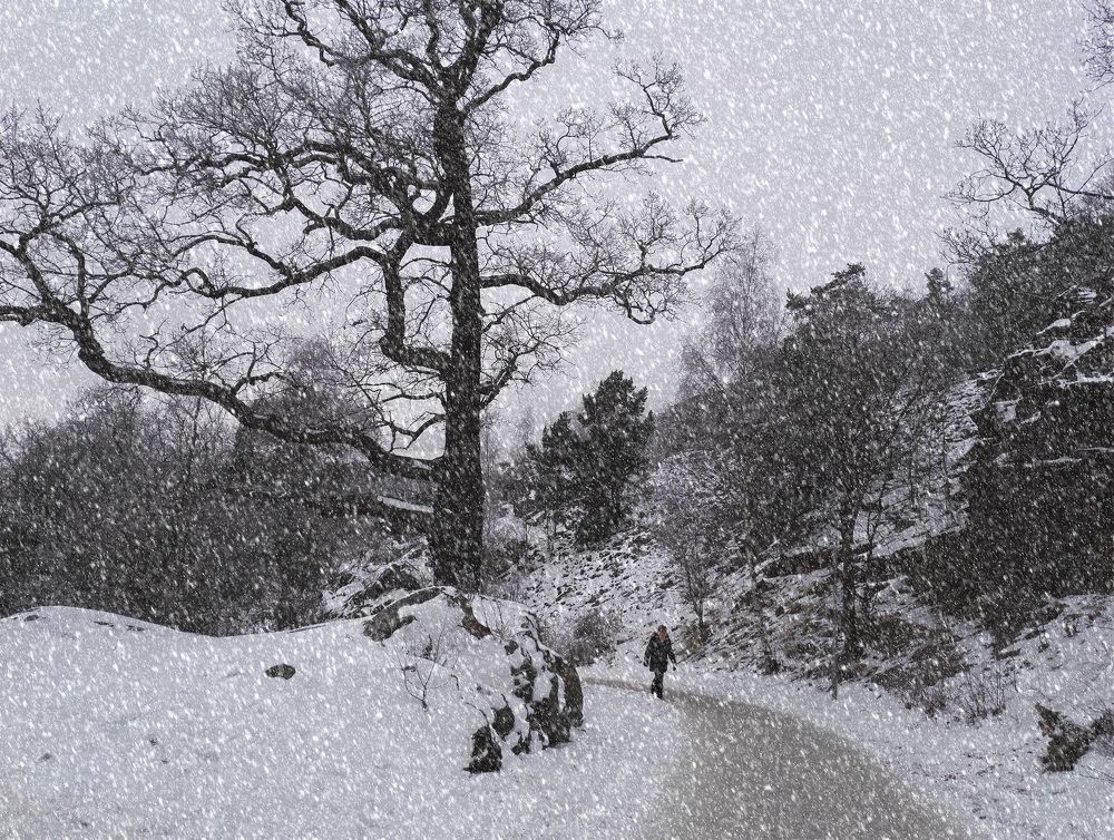 Встретимся при любой погоде